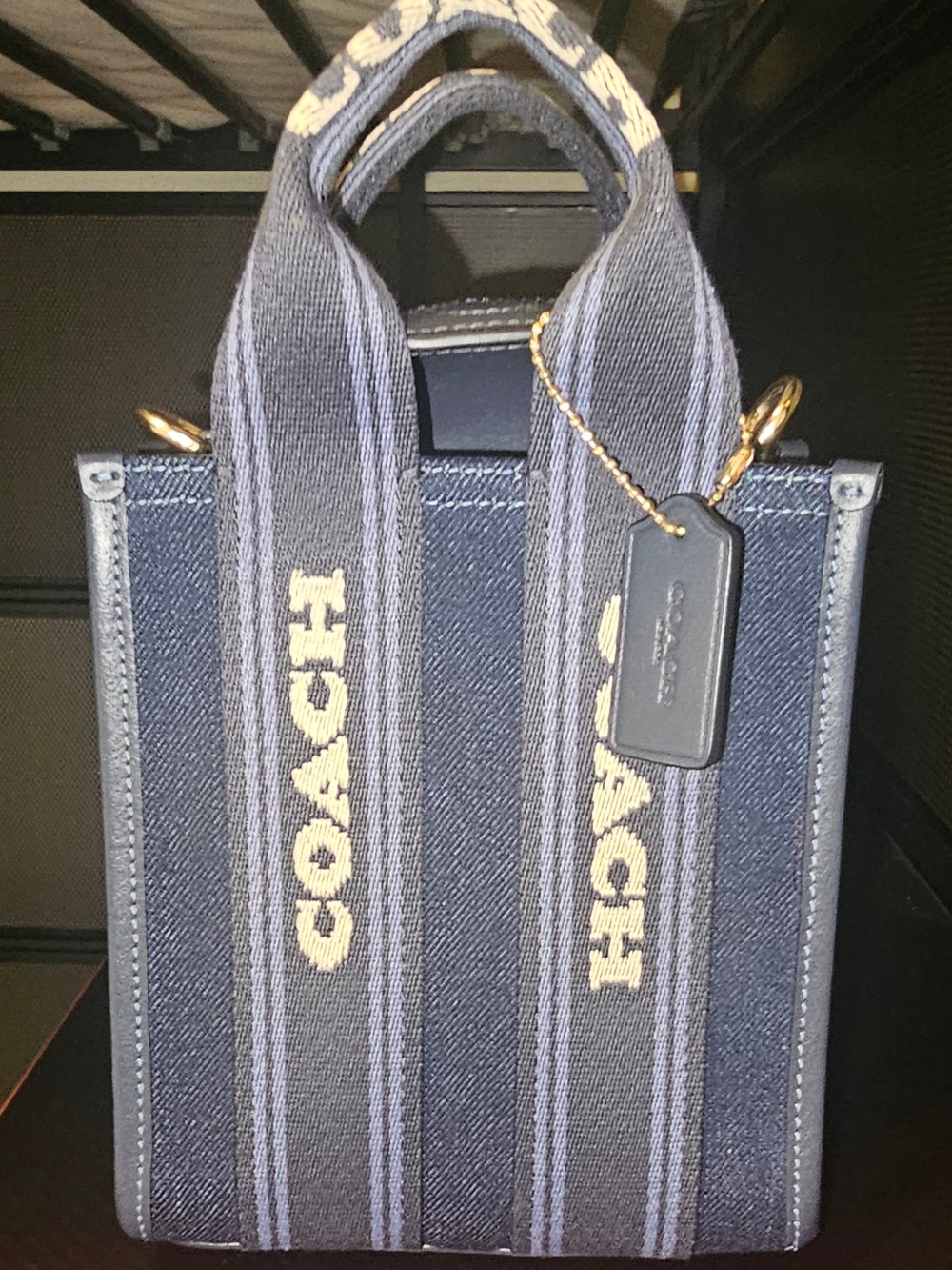 Coach Smith Mini Tote Bag